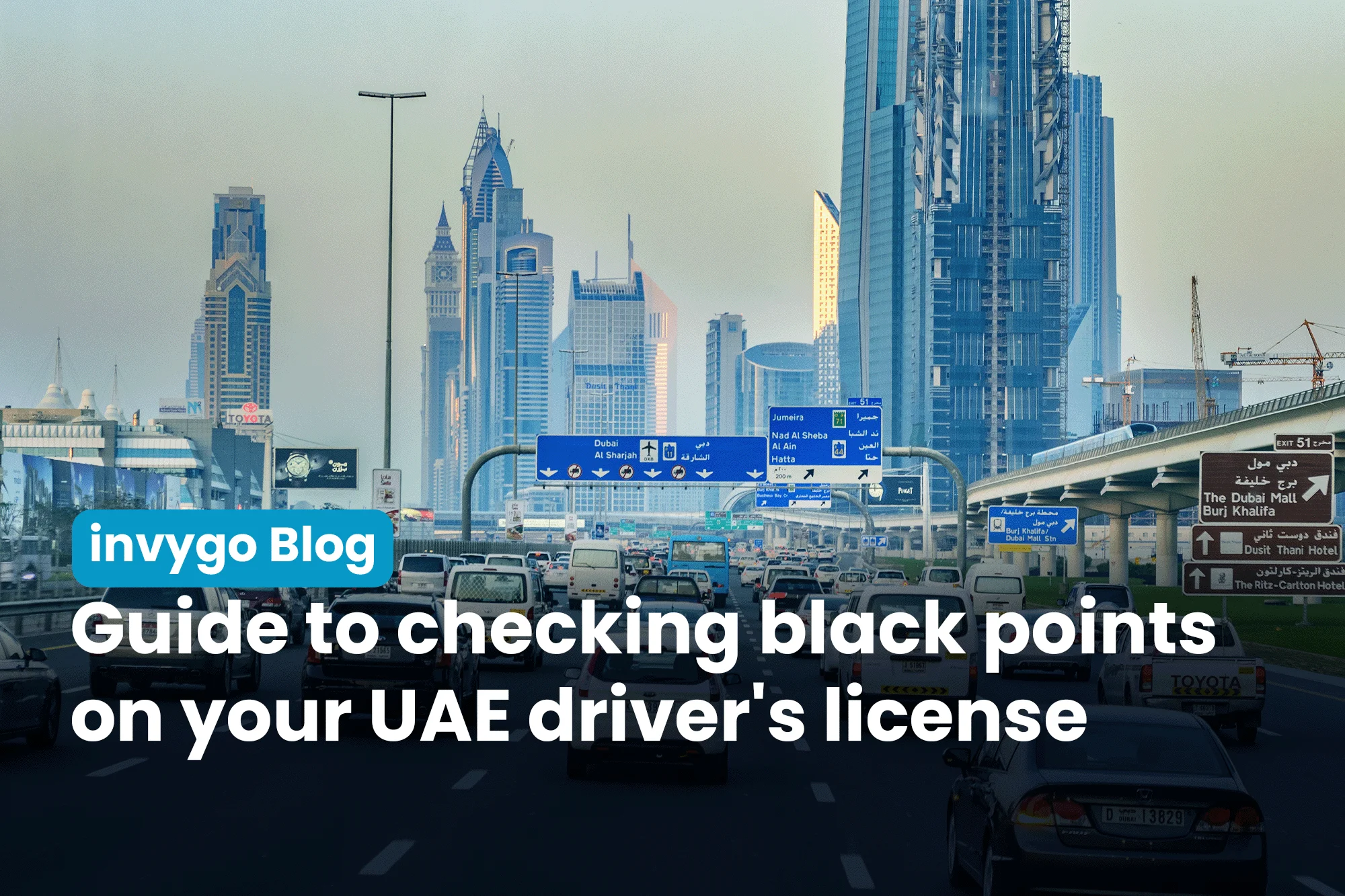 How to check black points on a driver’s license in the UAE